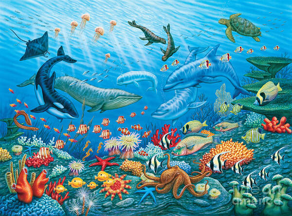 pics of ocean life