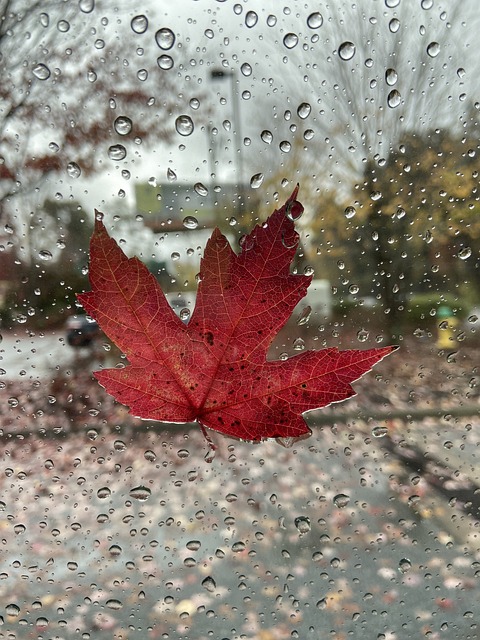 pics of rainy days