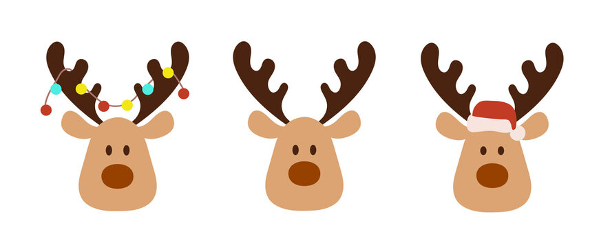 pics of reindeer