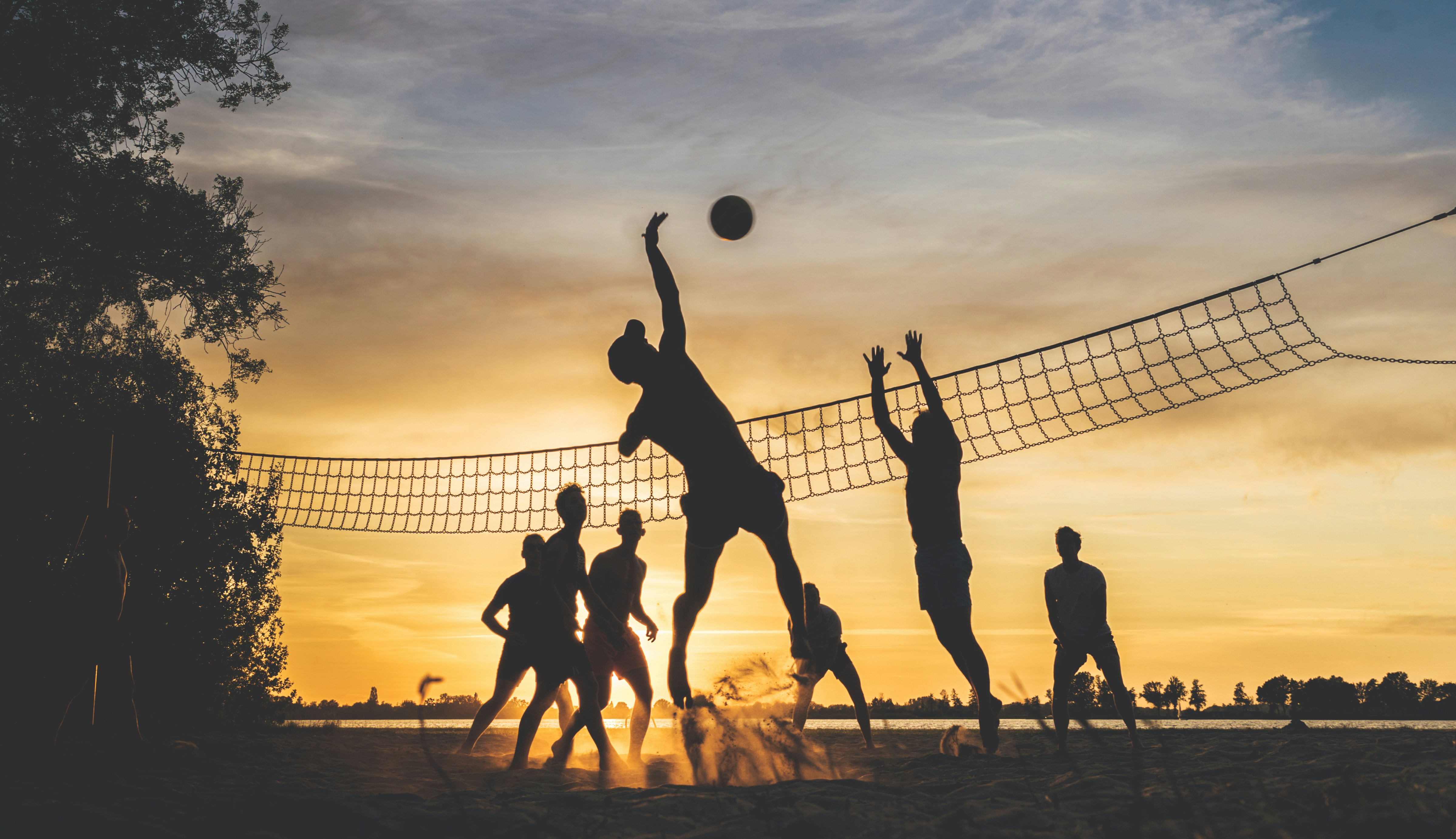 pics of volleyball