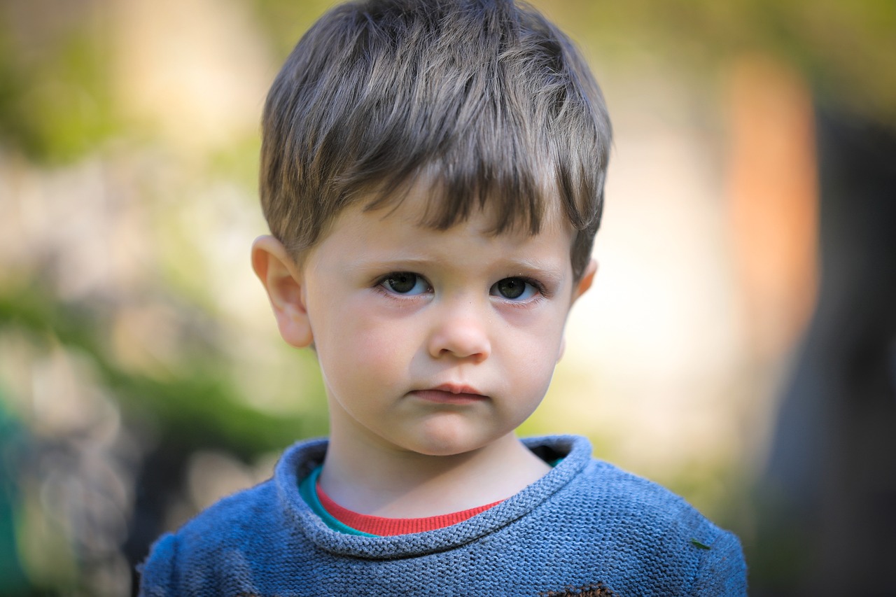 Little Boy Child Photo - Free photo on Pixabay