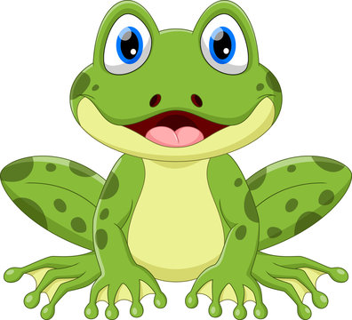 picture of a cartoon frog