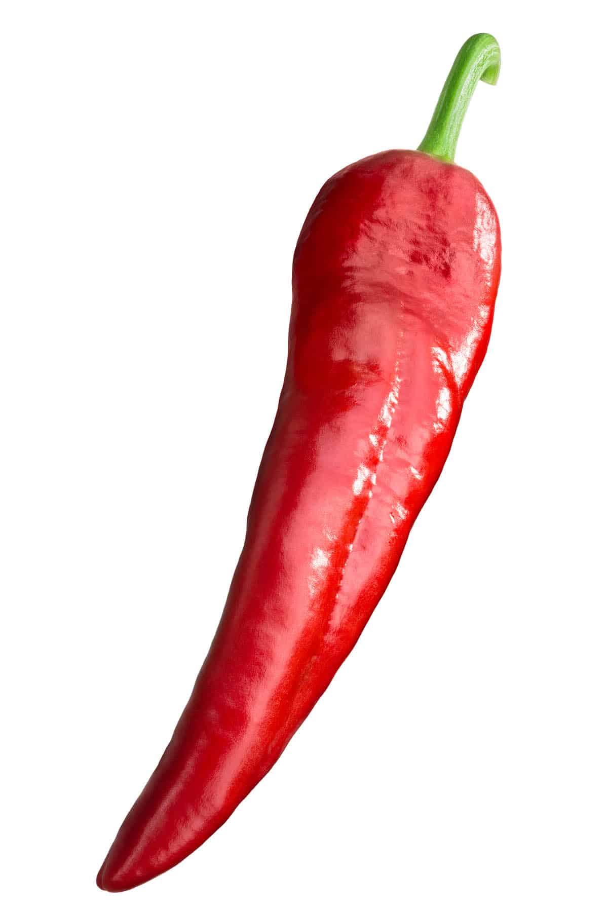 picture of a chili pepper
