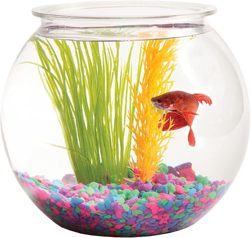 picture of a fish bowl