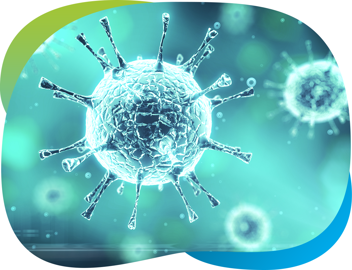 picture of a germ