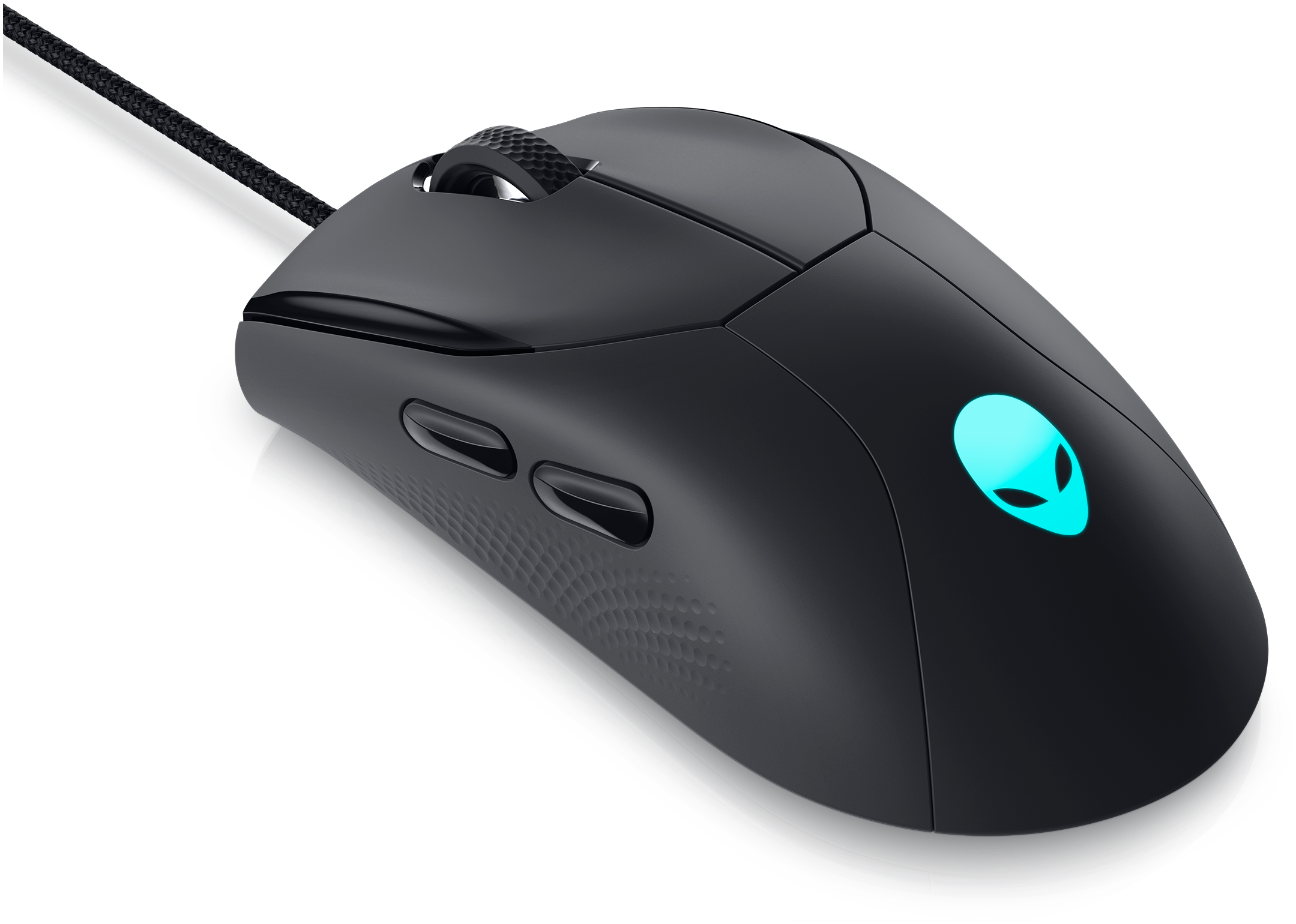 picture of a mouse