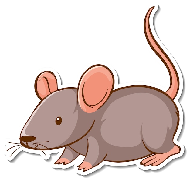 picture of a mouse