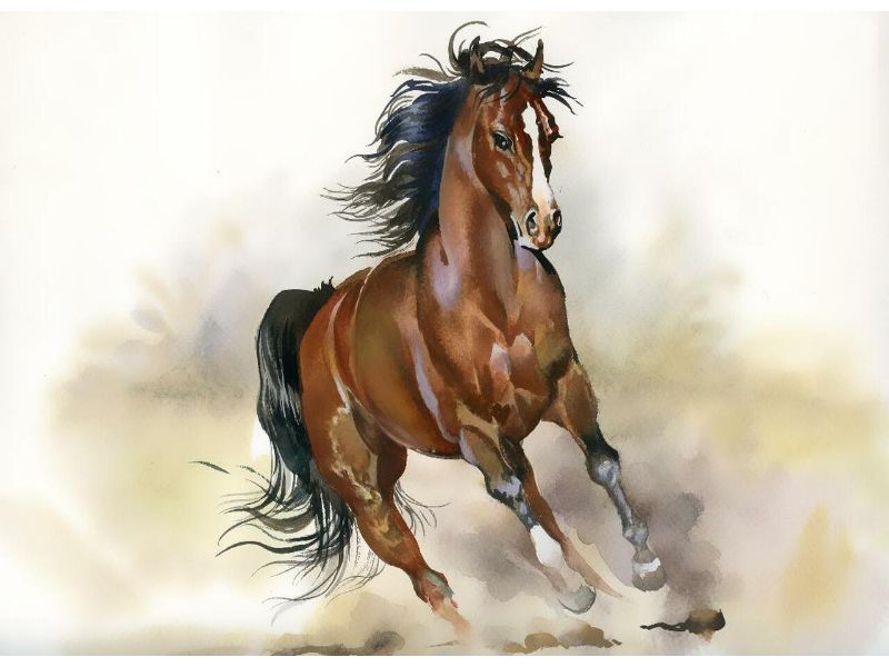 picture of a running horse