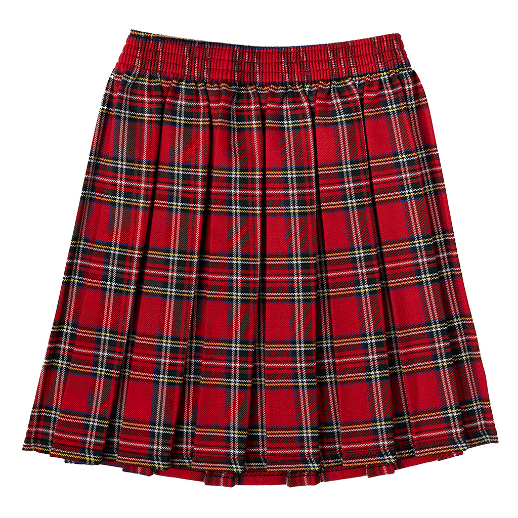 picture of a skirt