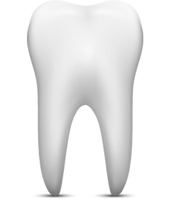 picture of a tooth