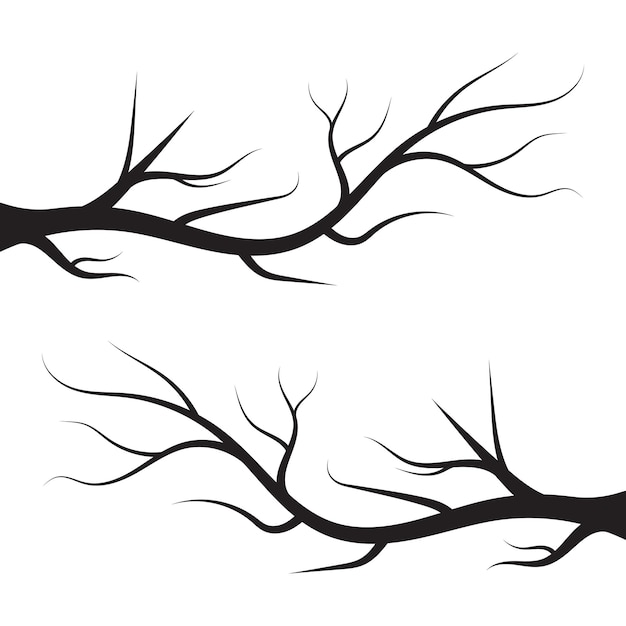 picture of a tree branch