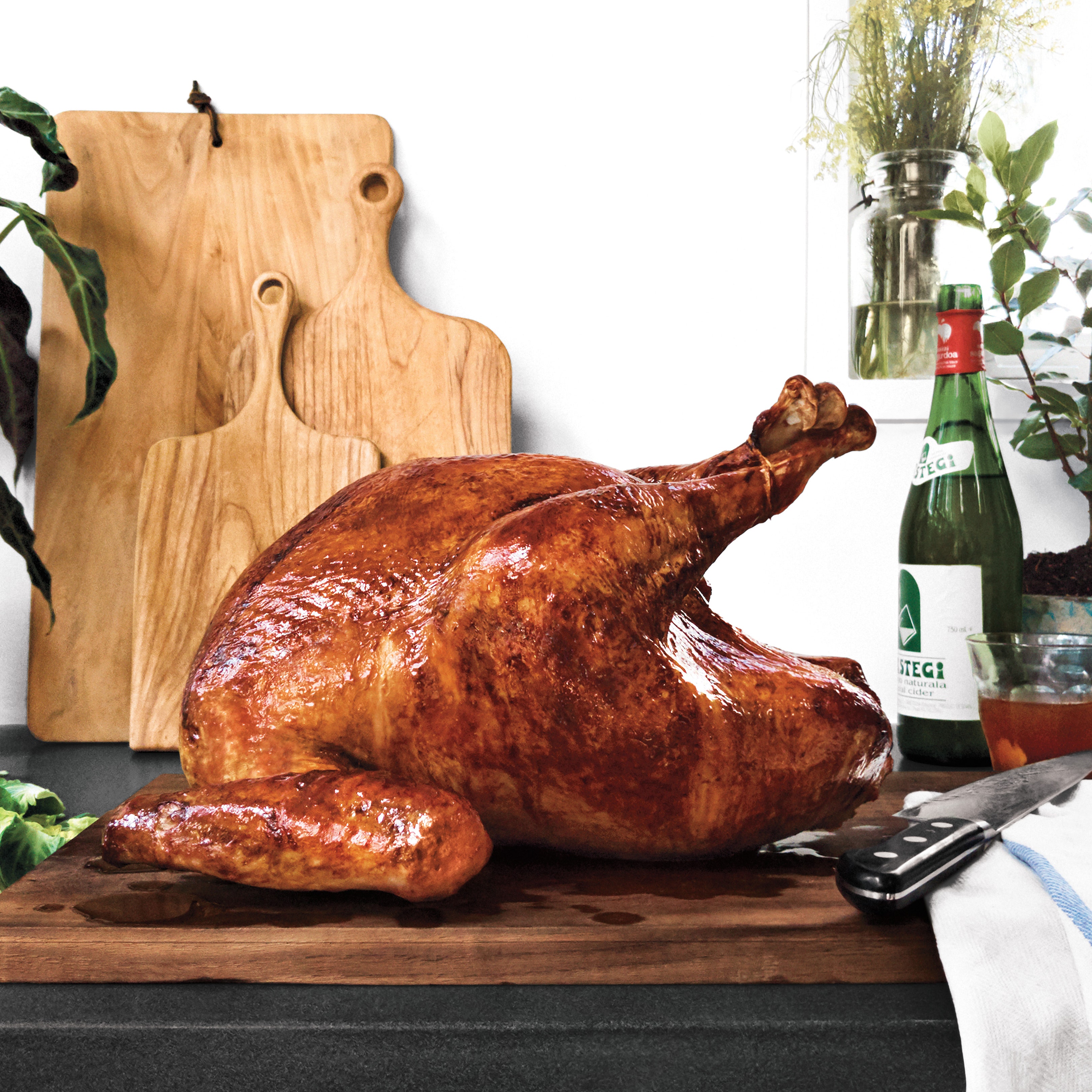 picture of a turkey for thanksgiving