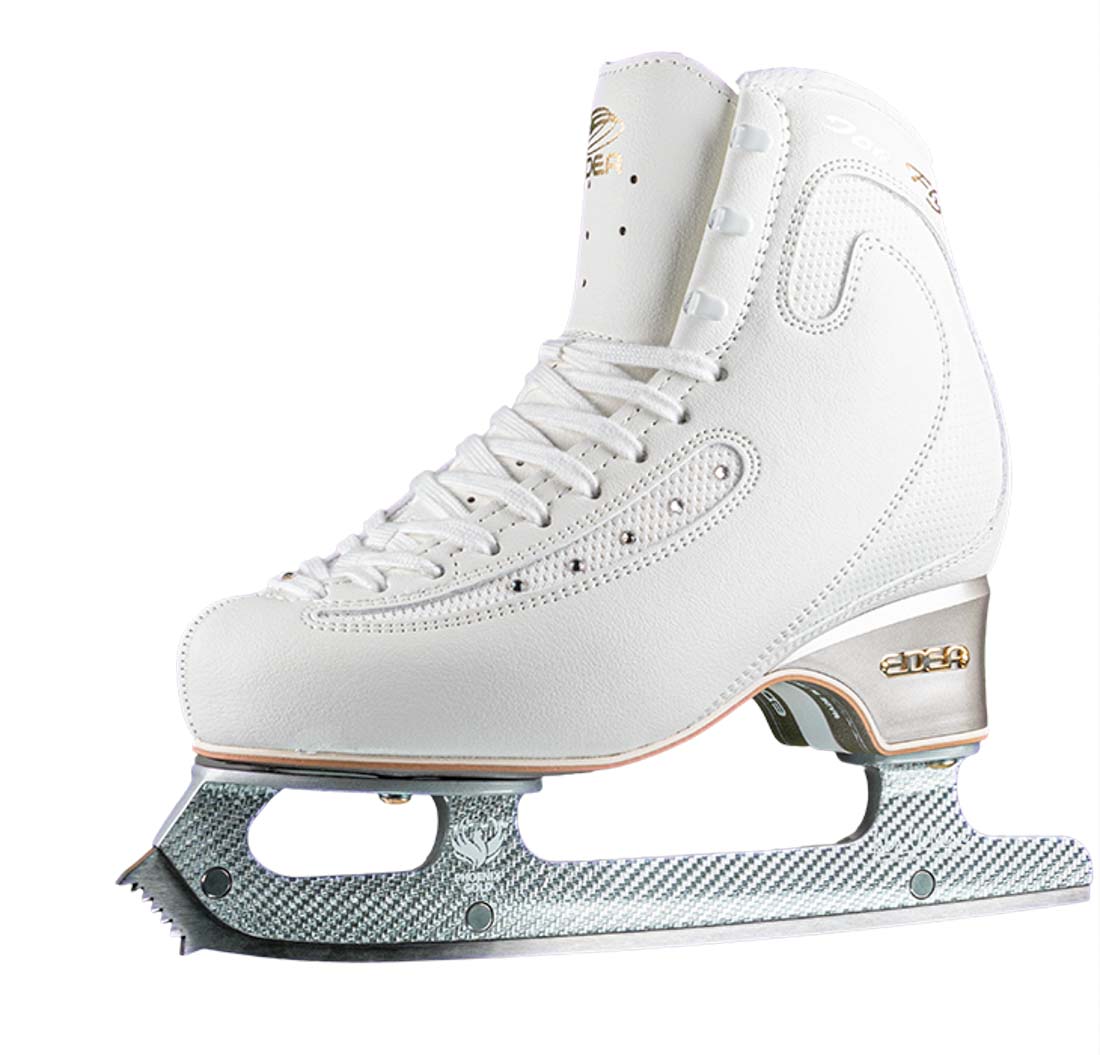 picture of an ice skate