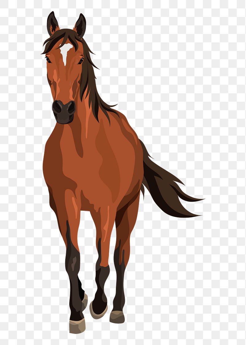 picture of cartoon horse