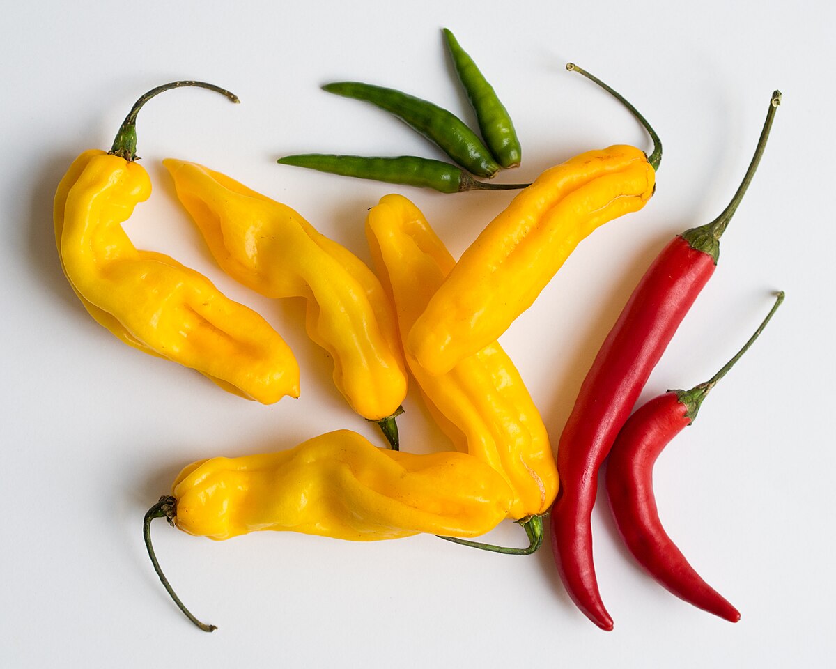picture of chili pepper