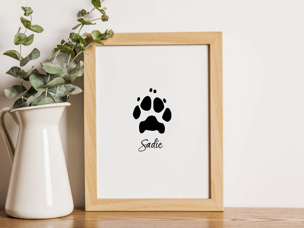 picture of dog paw prints