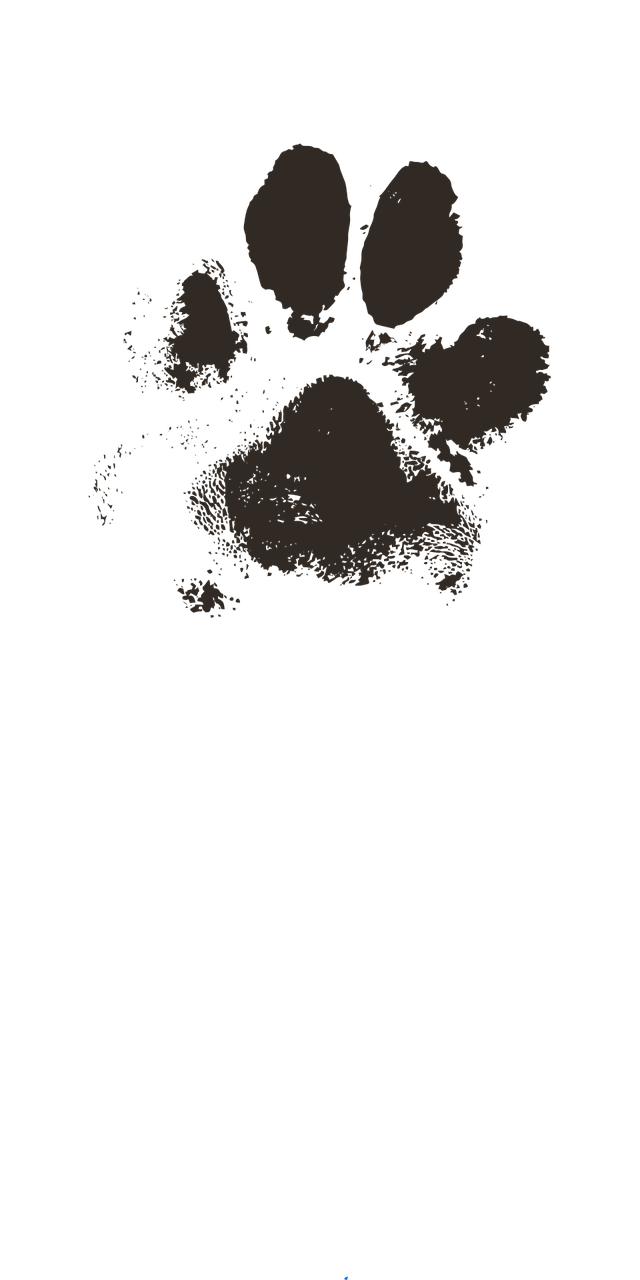 picture of dog paw prints
