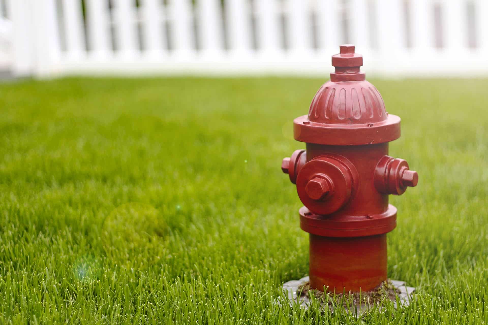 picture of fire hydrant