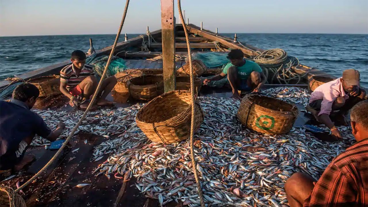 picture of fisherman