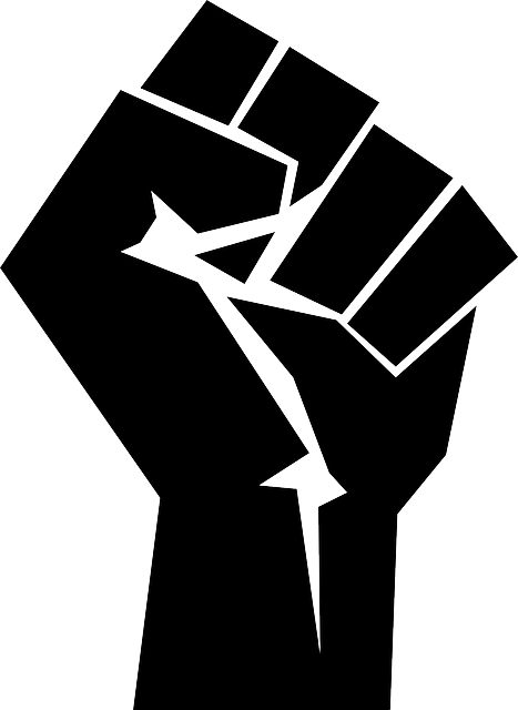 picture of fist