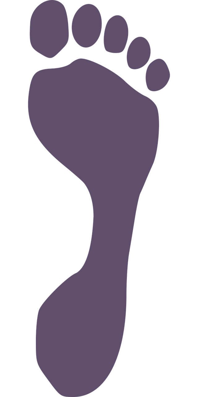 picture of footprint