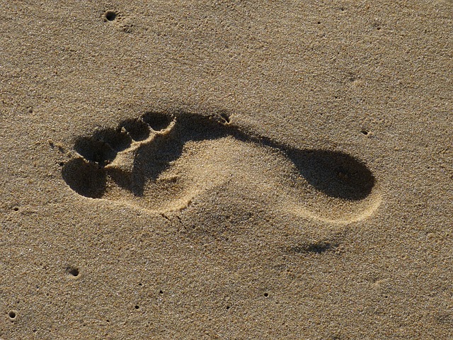 picture of footprint