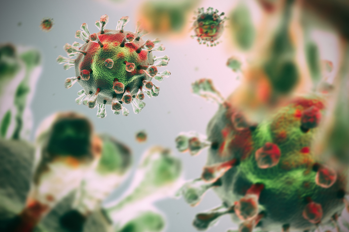 picture of germ