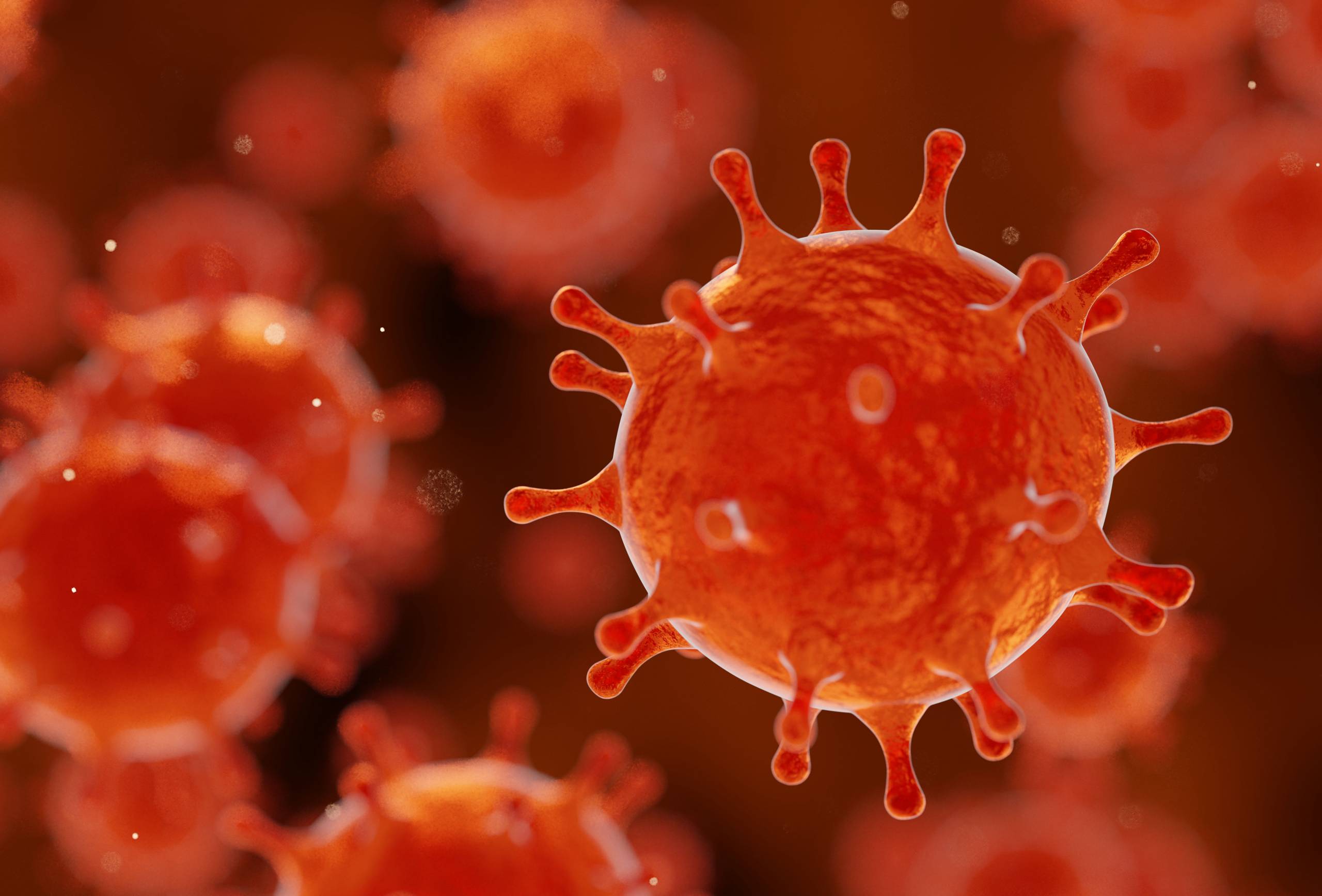 picture of germ