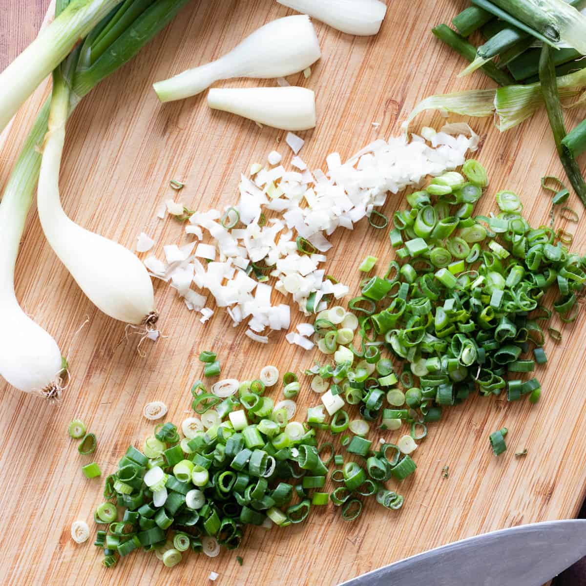picture of green onion