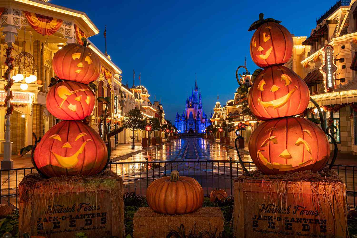picture of halloween
