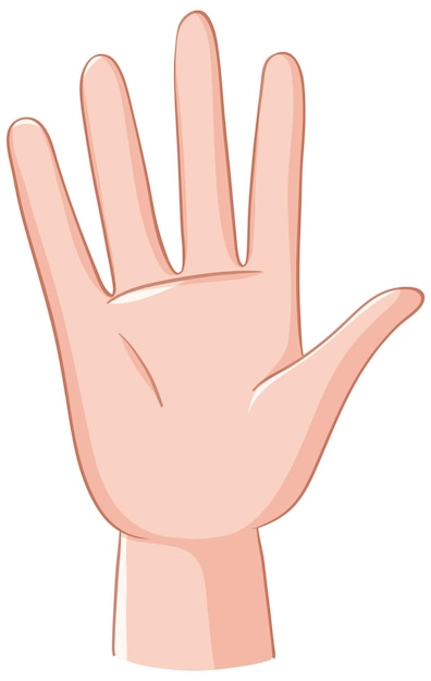 picture of hand