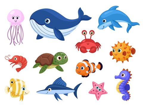 picture of ocean animals