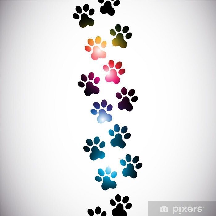 picture of paw prints