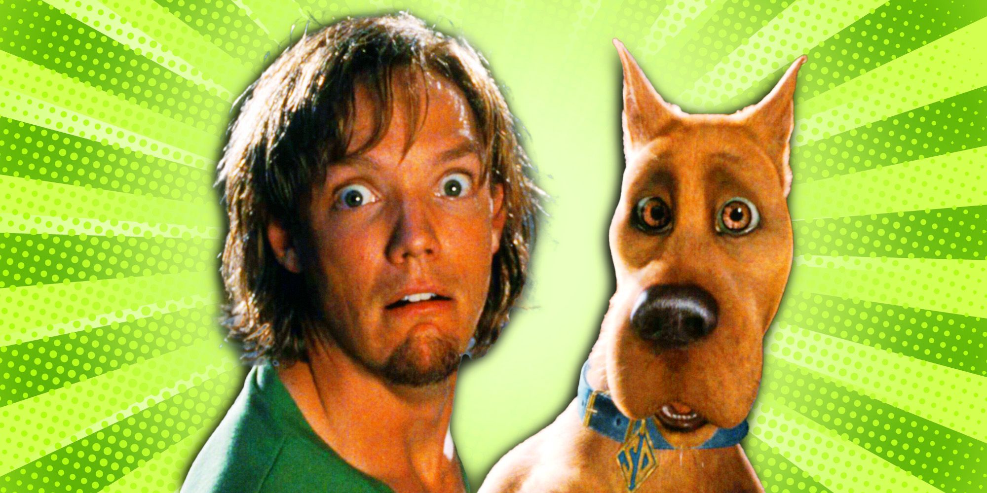 picture of shaggy from scooby doo
