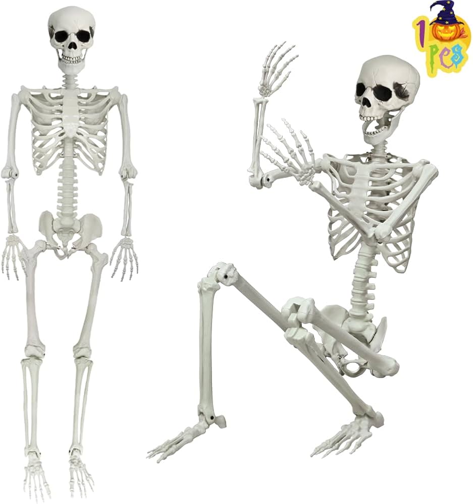 picture of skeletons