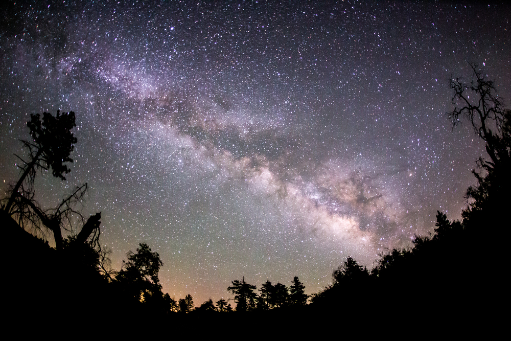 picture of the stars
