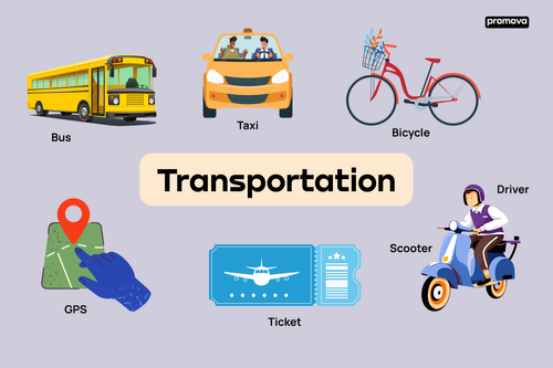 picture of transportation
