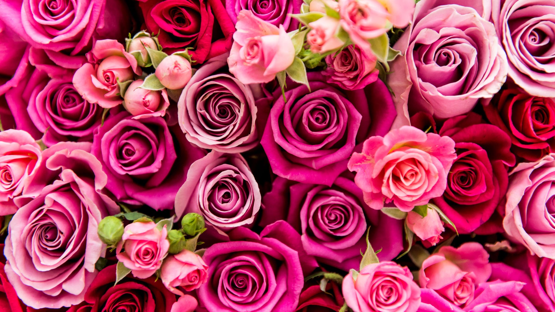 picture of valentine s day
