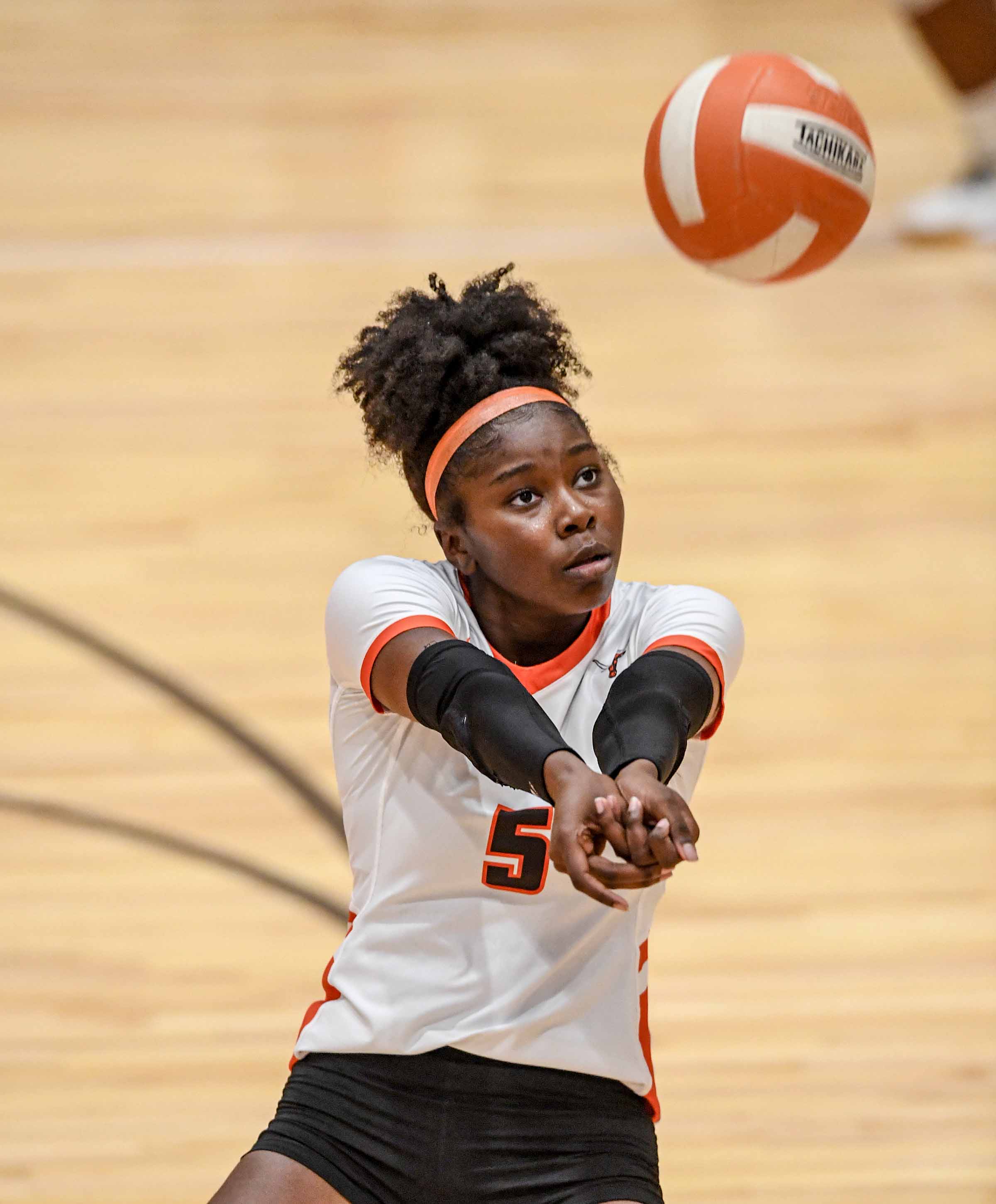 picture of volleyball player