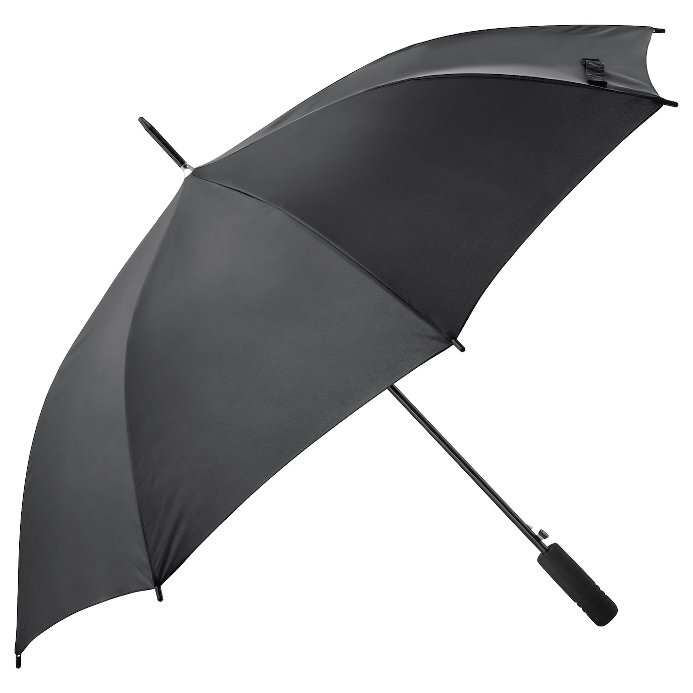 picture umbrella
