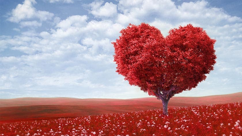 picture valentine day