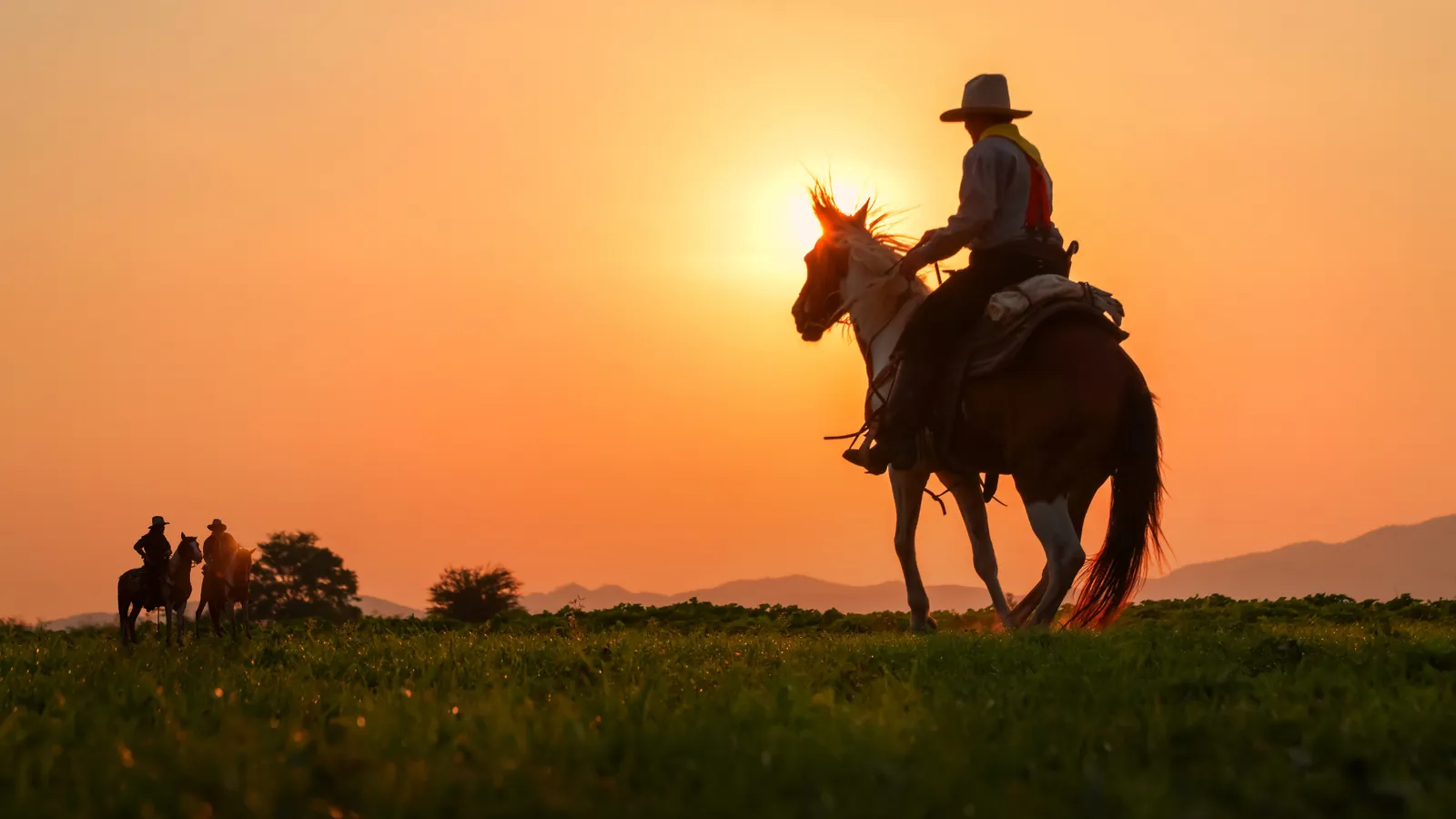 pictures of a cowboy