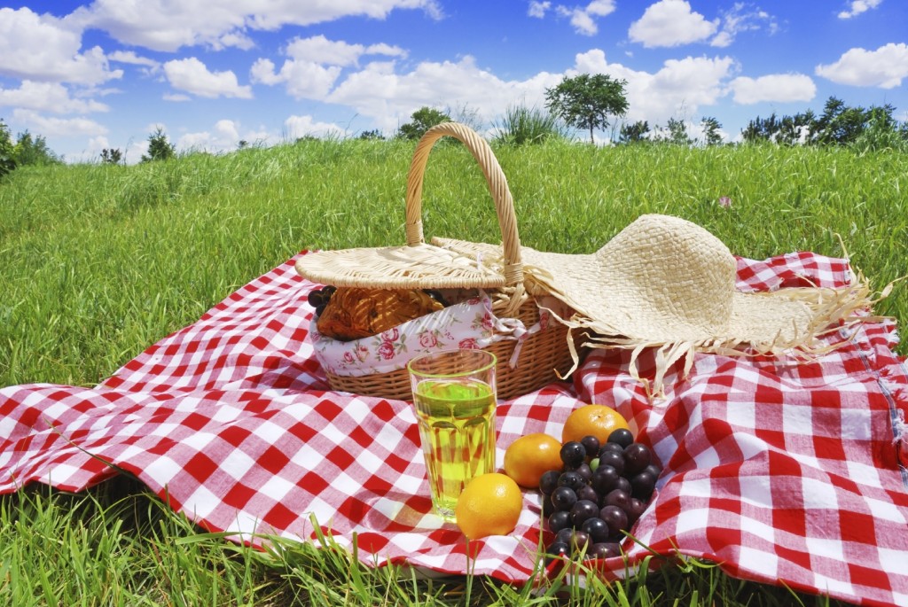 pictures of a picnic