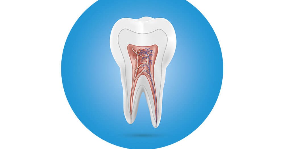pictures of a tooth