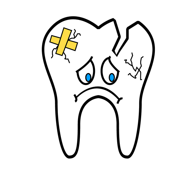 pictures of a tooth
