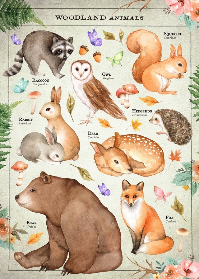 pictures of animals to print