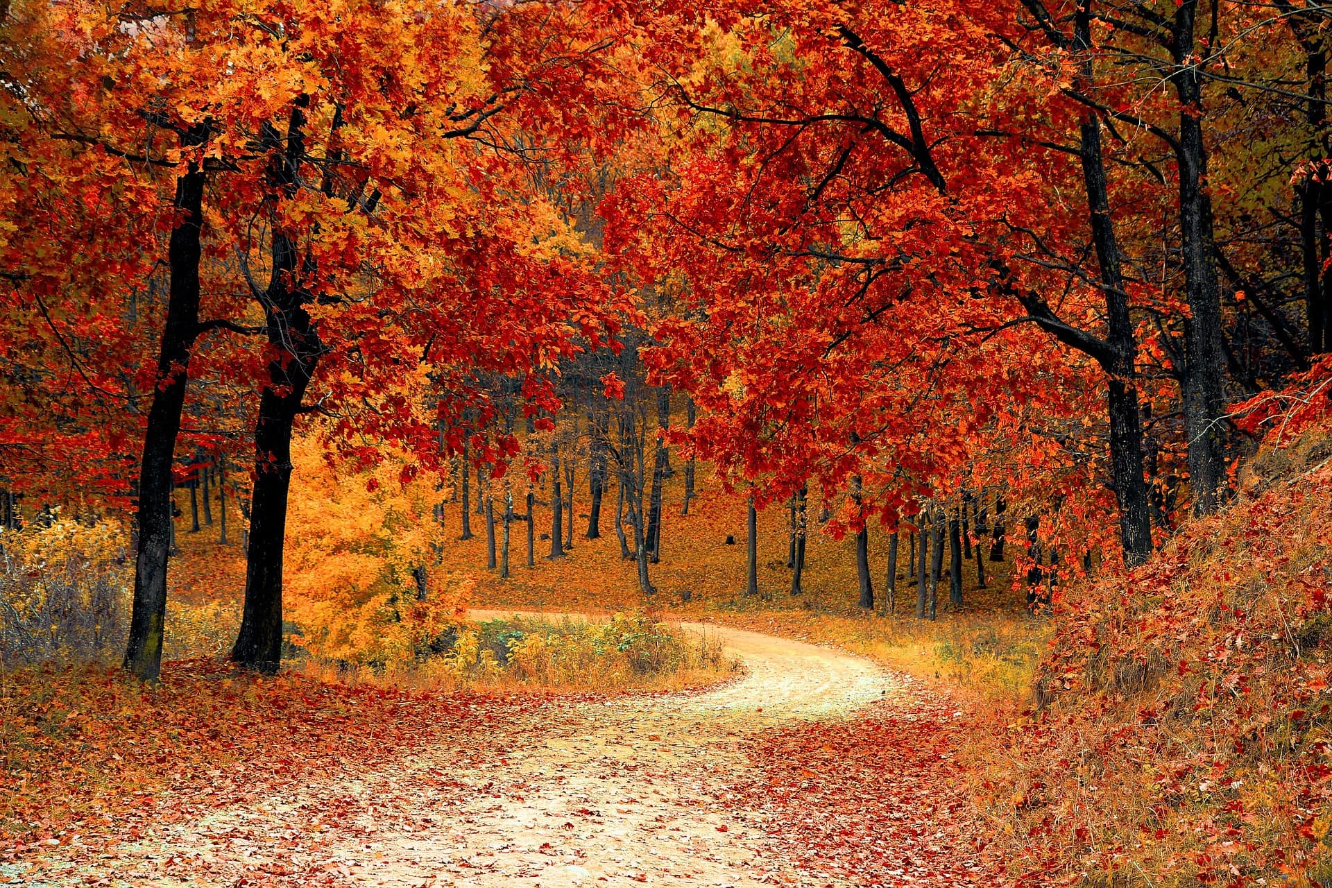 pictures of autumn season