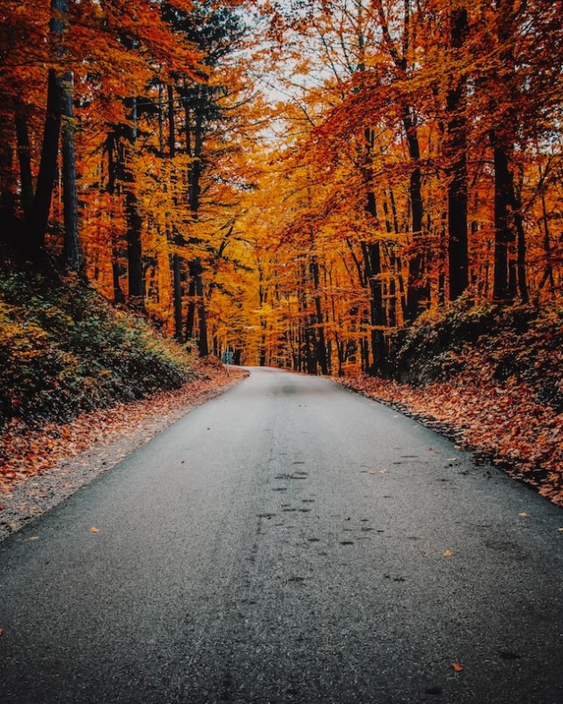 pictures of autumn season