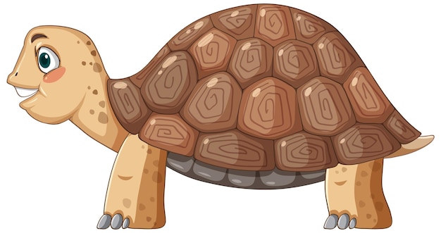 pictures of cartoon turtles