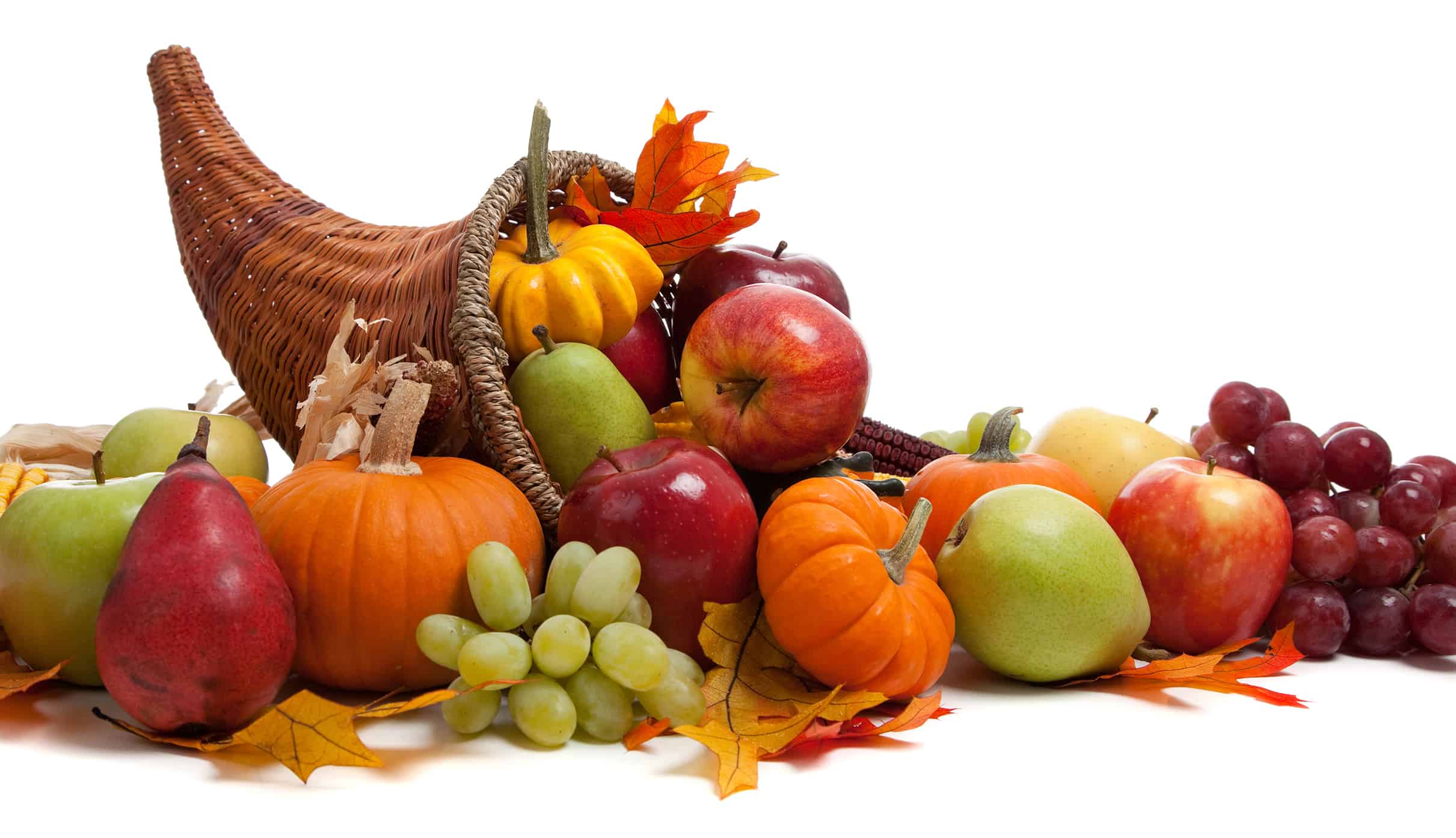 pictures of cornucopia